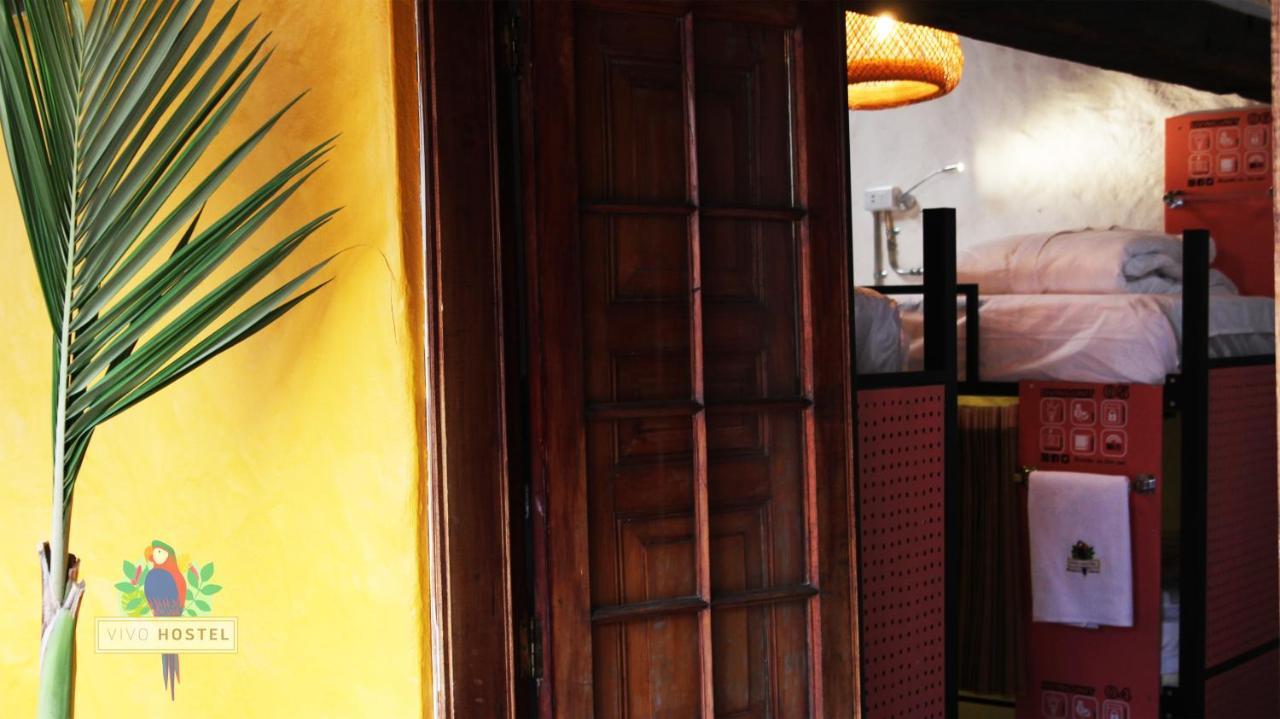 Vivo Hostel Bogota