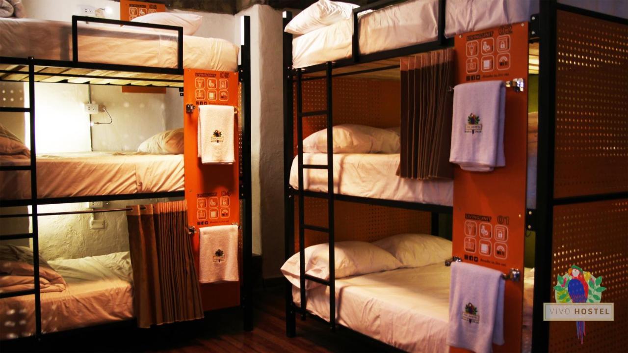 Hostel Vivo *