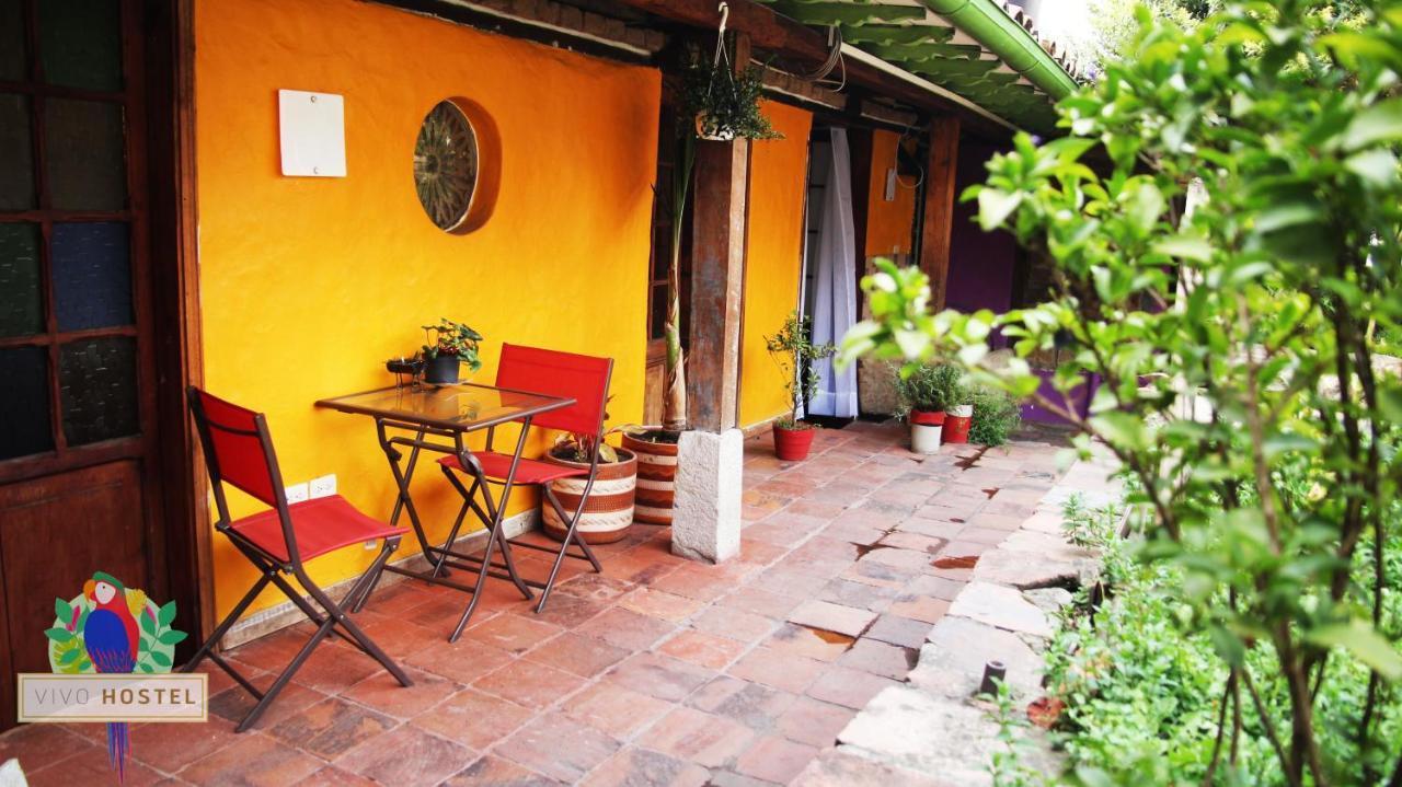 Hostel Vivo
