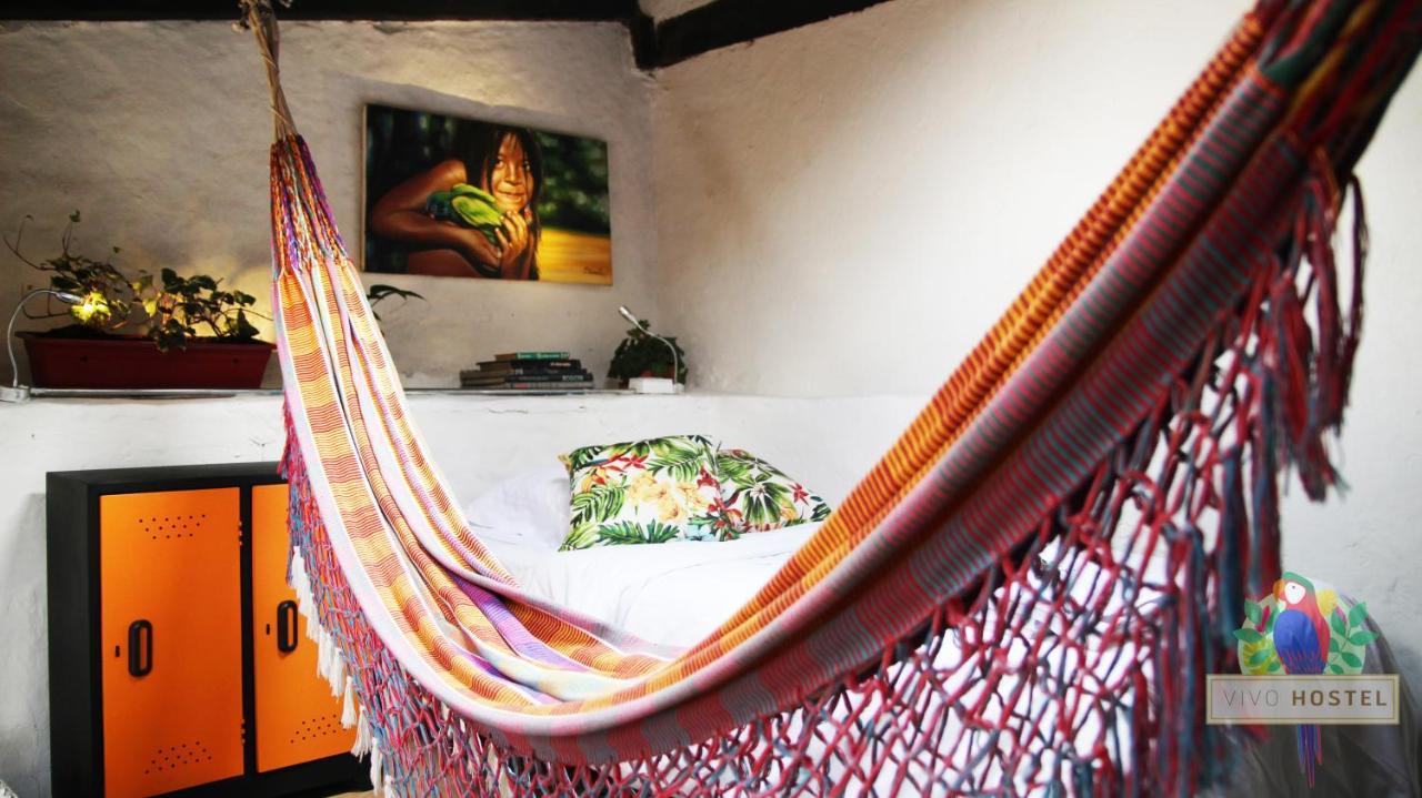 Vivo Hostel *