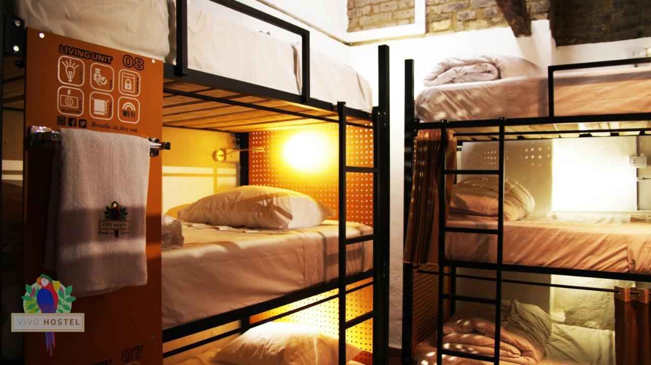 Hostel Vivo