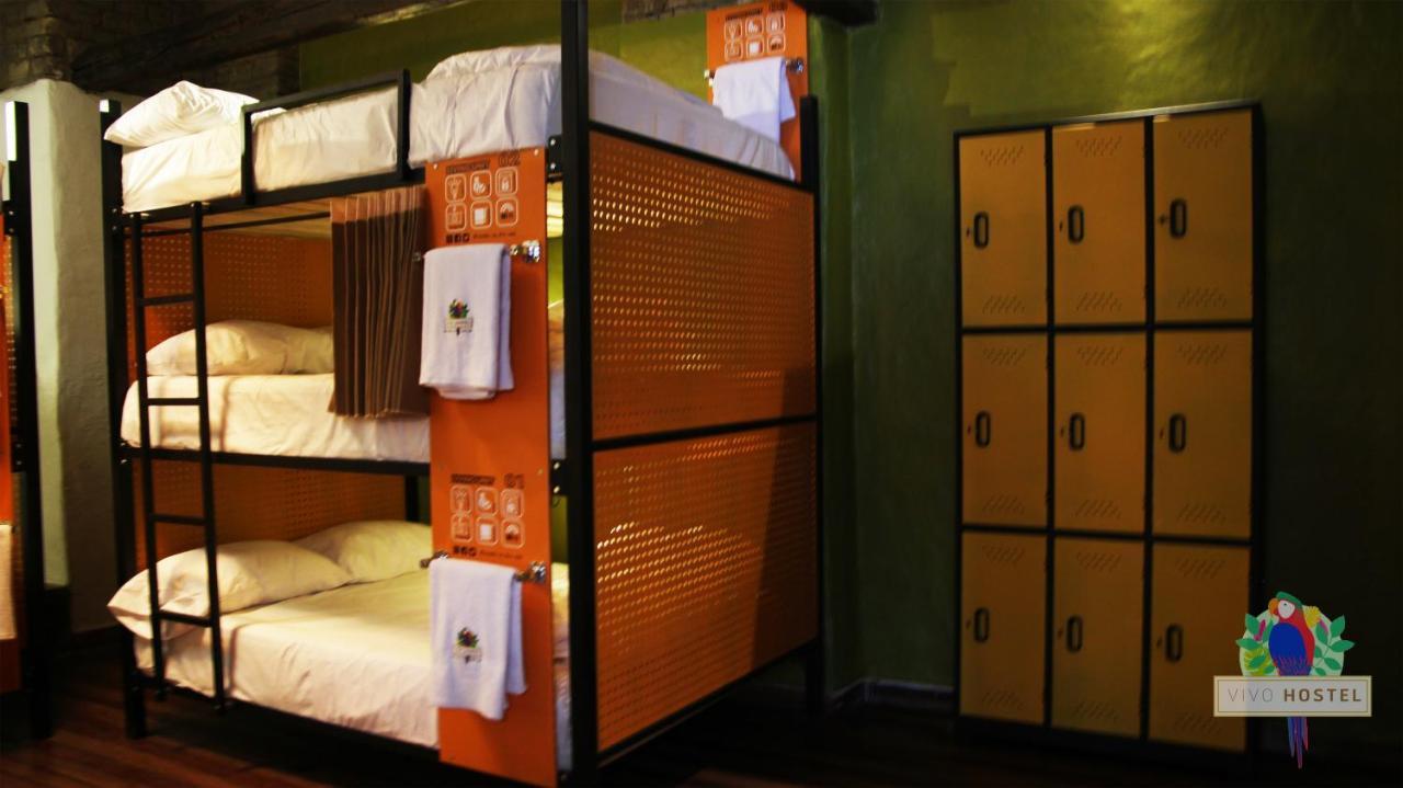 Vivo Hostel