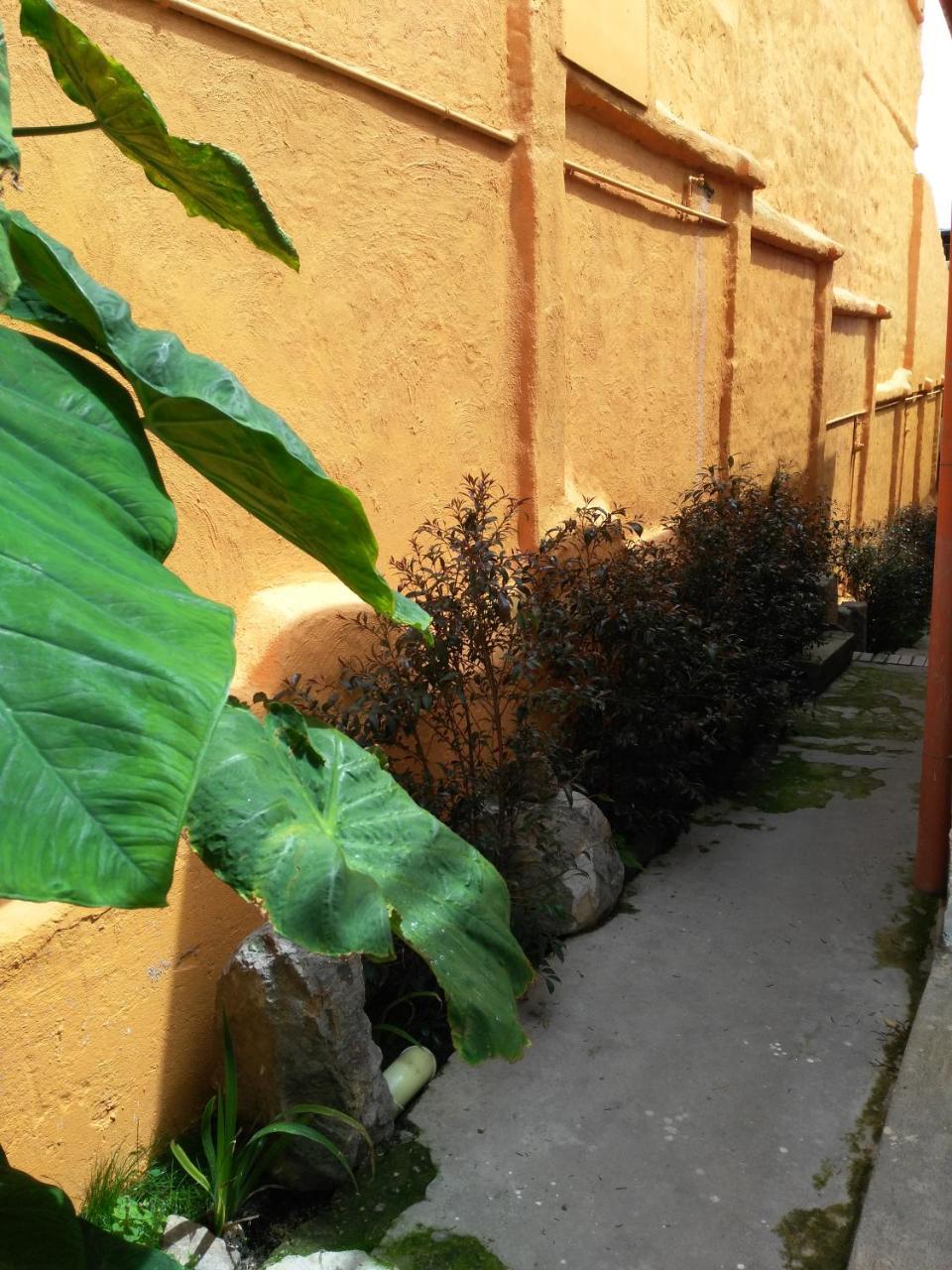 Casa-arbol Apartment