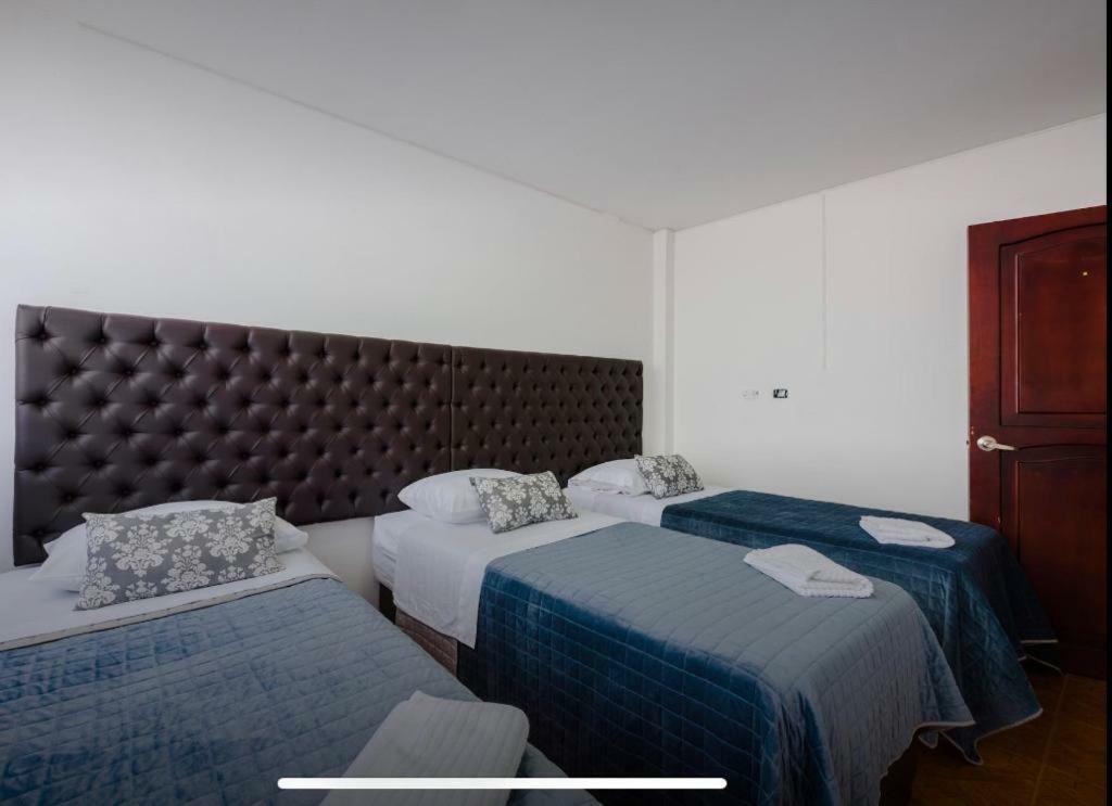 Guest house Hostel Casa Sofia