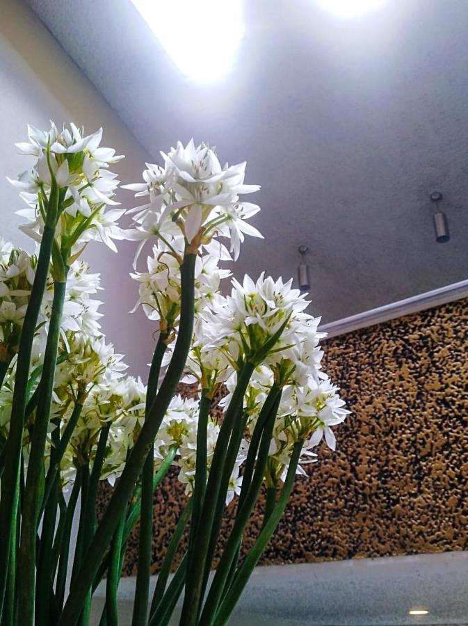 Hotel Atelier