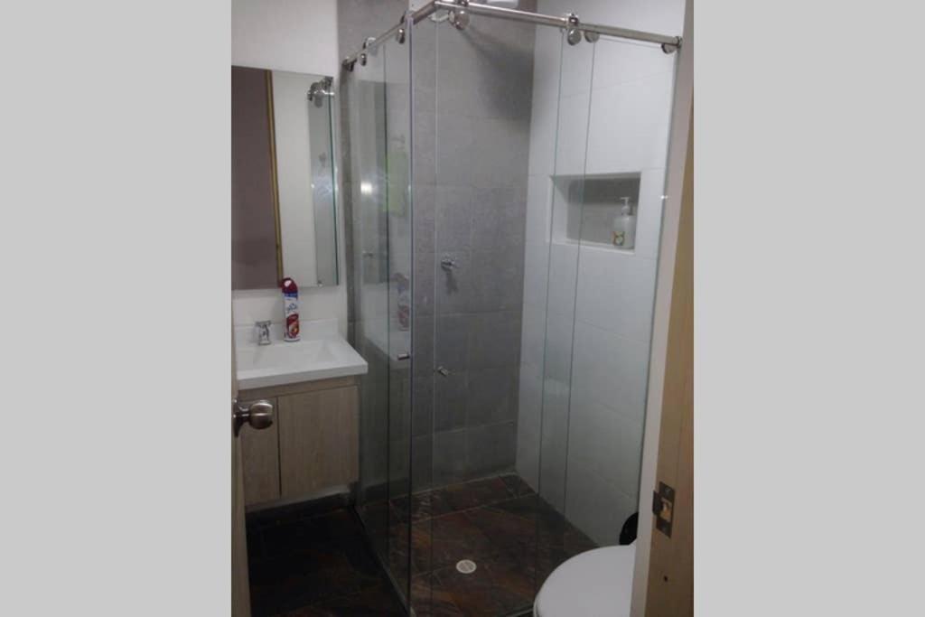 Apartaestudio Amoblado 102a