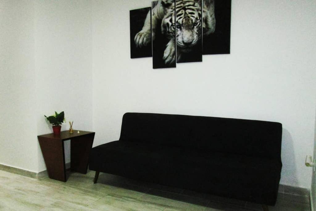 Apartaestudio Amoblado 102a *