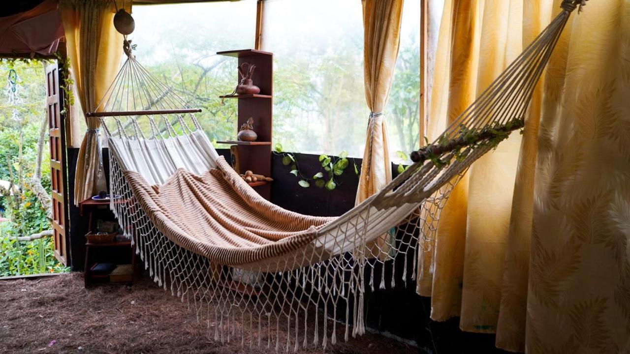 Palu Eco Aldea