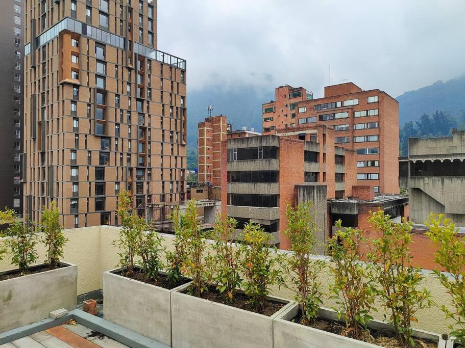 Apartment In La Candelaria