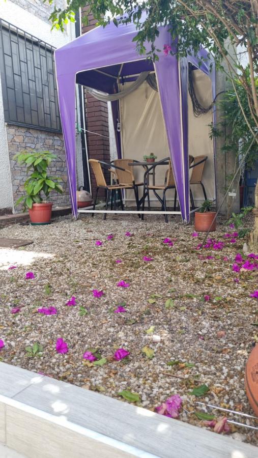 Homestay Casa Dohko *