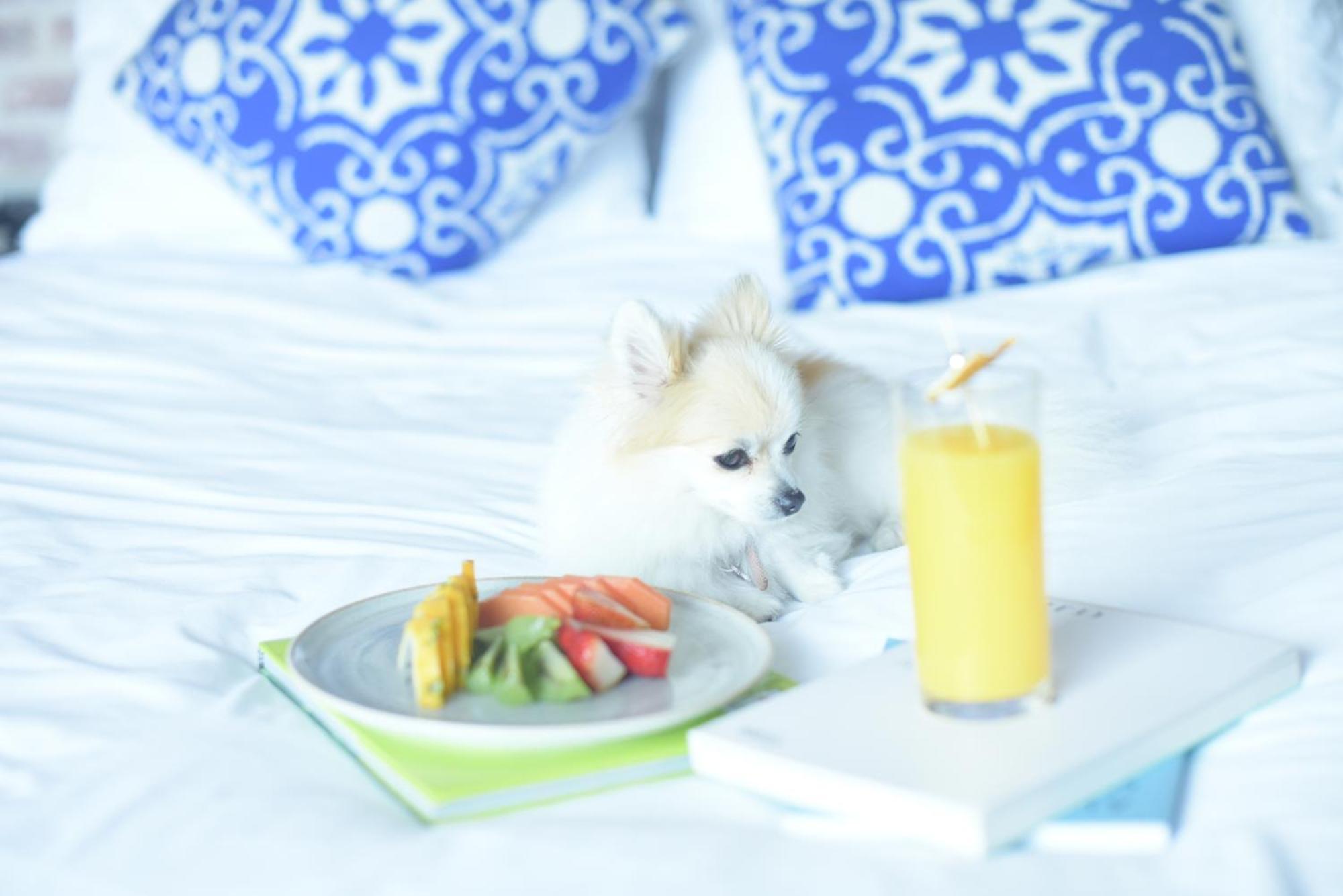 The Artisan D.c. Hotel, Autograph Collection Hotel Bogota