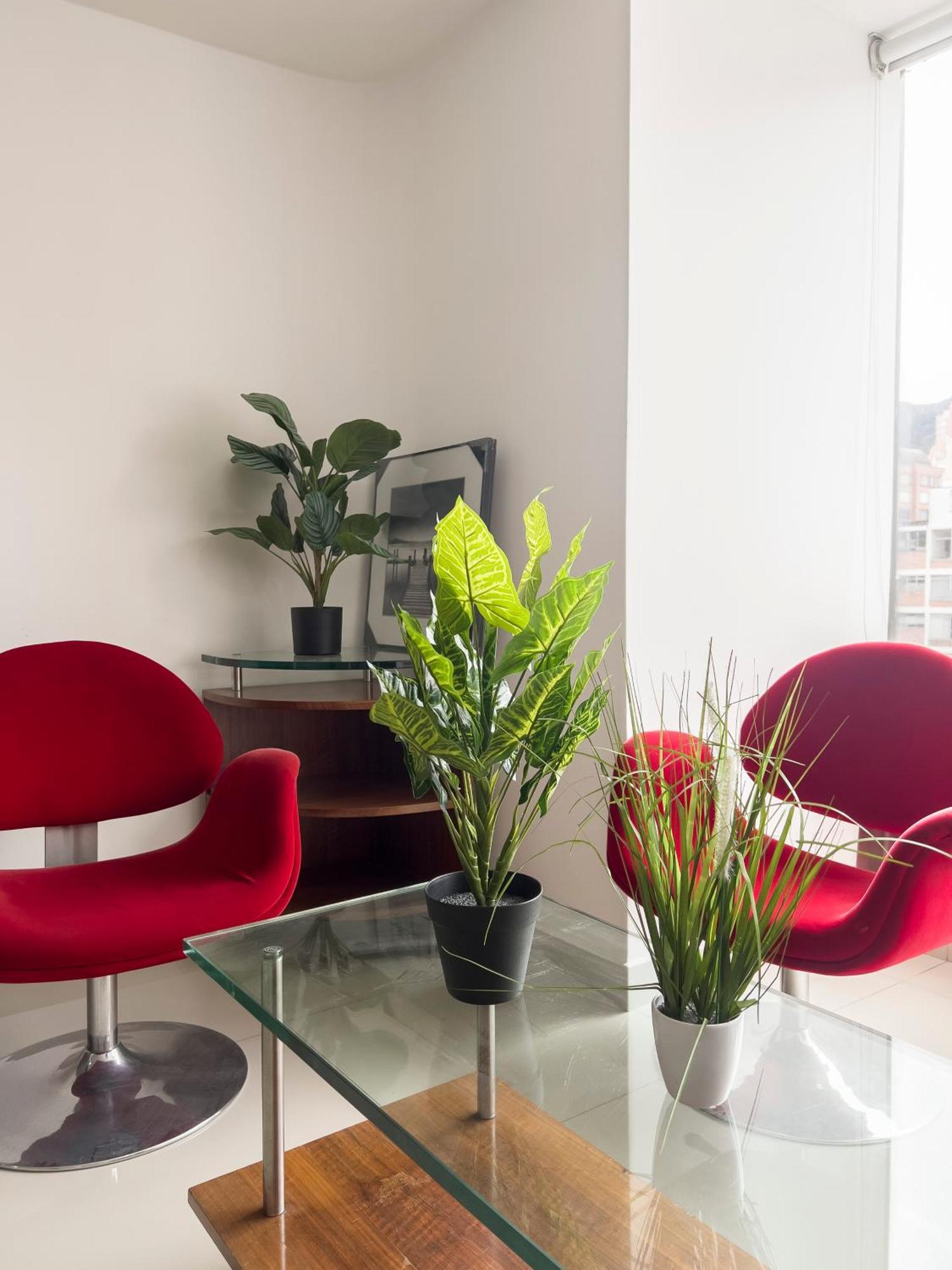 Apartment Loft En El Corazon De Chapinero *