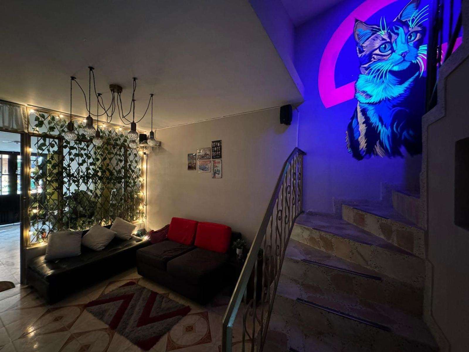 Gato Neon * Bogota