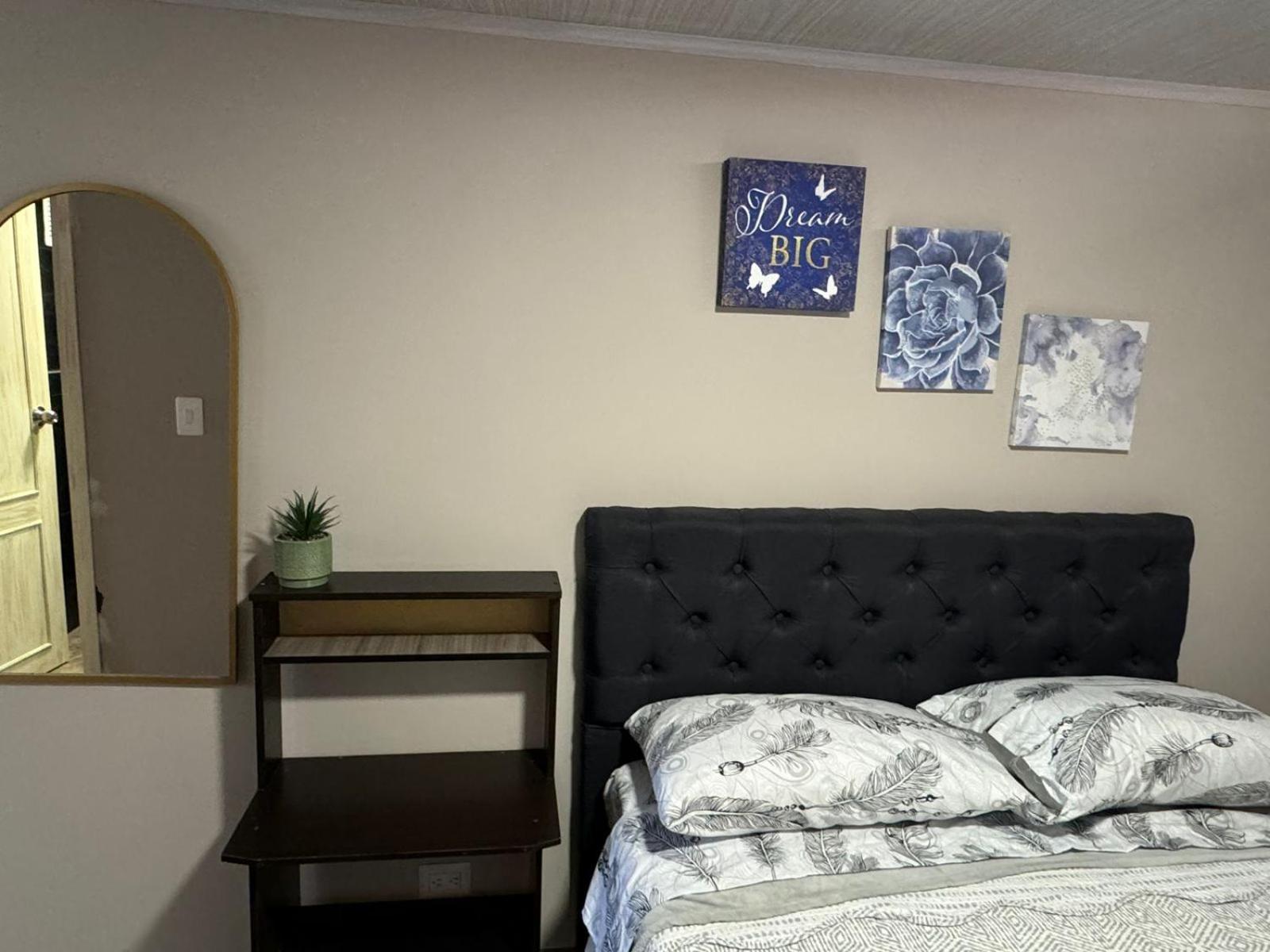 Guest house Gato Neon *