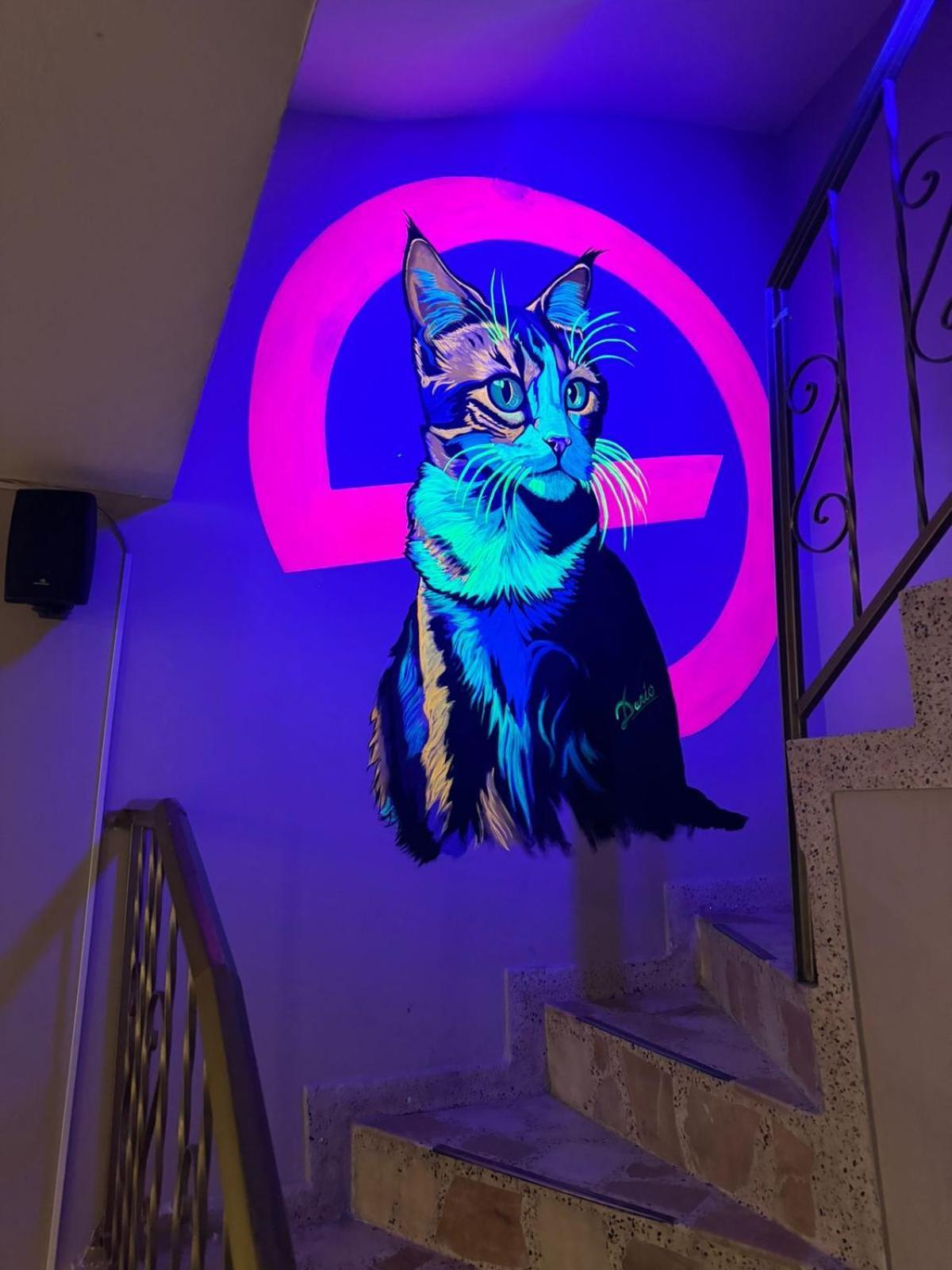 Gato Neon Bogota