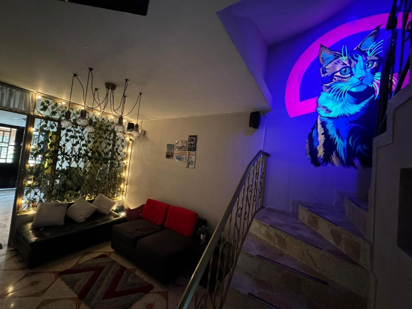 Gato Neon Guest house