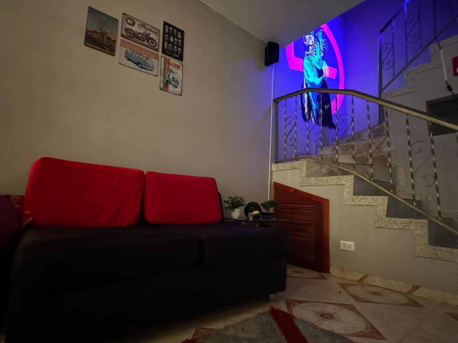 Guest house Gato Neon