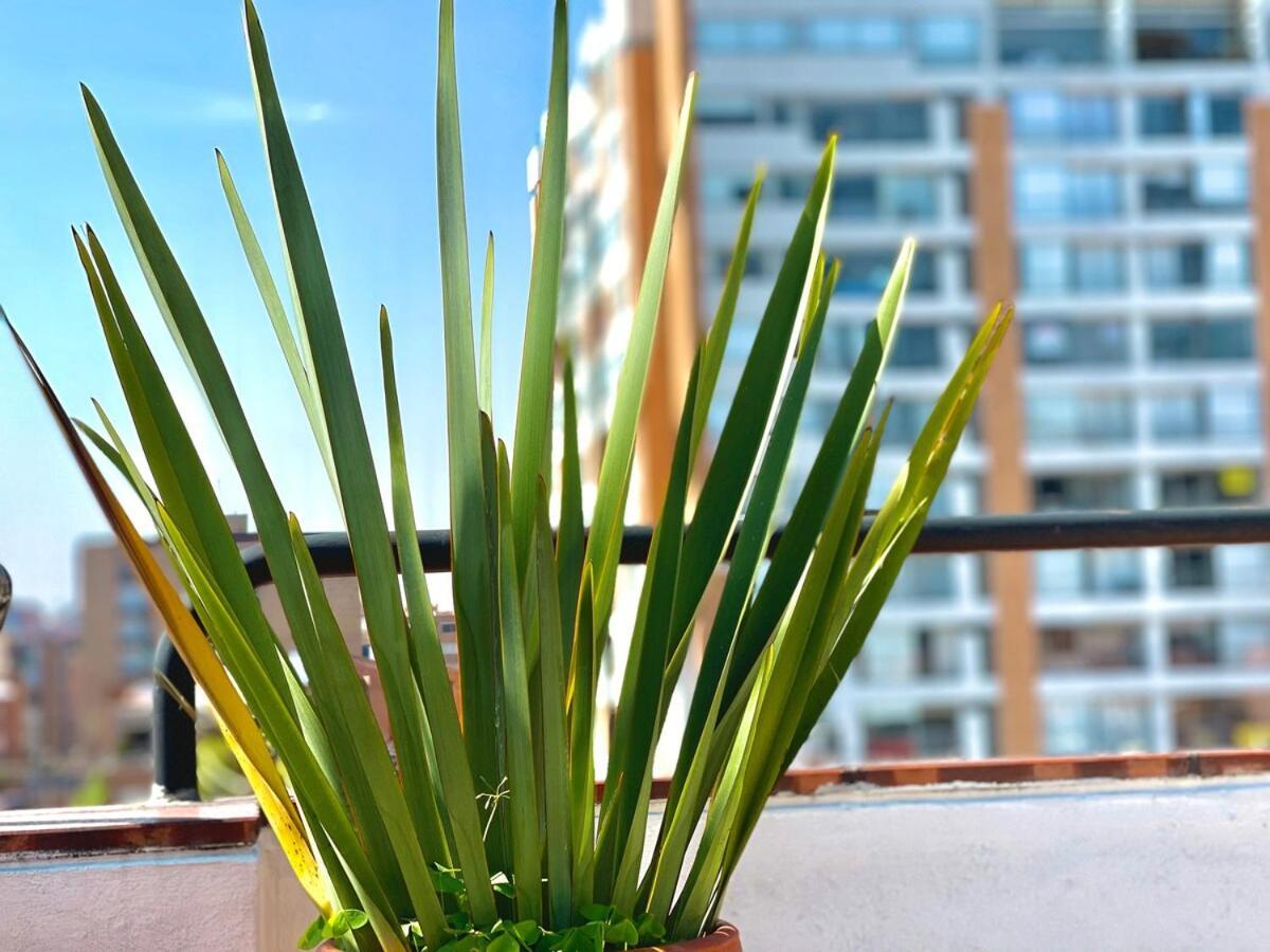 Apartment With Terrace And Panoramic View Usaquen Bogota