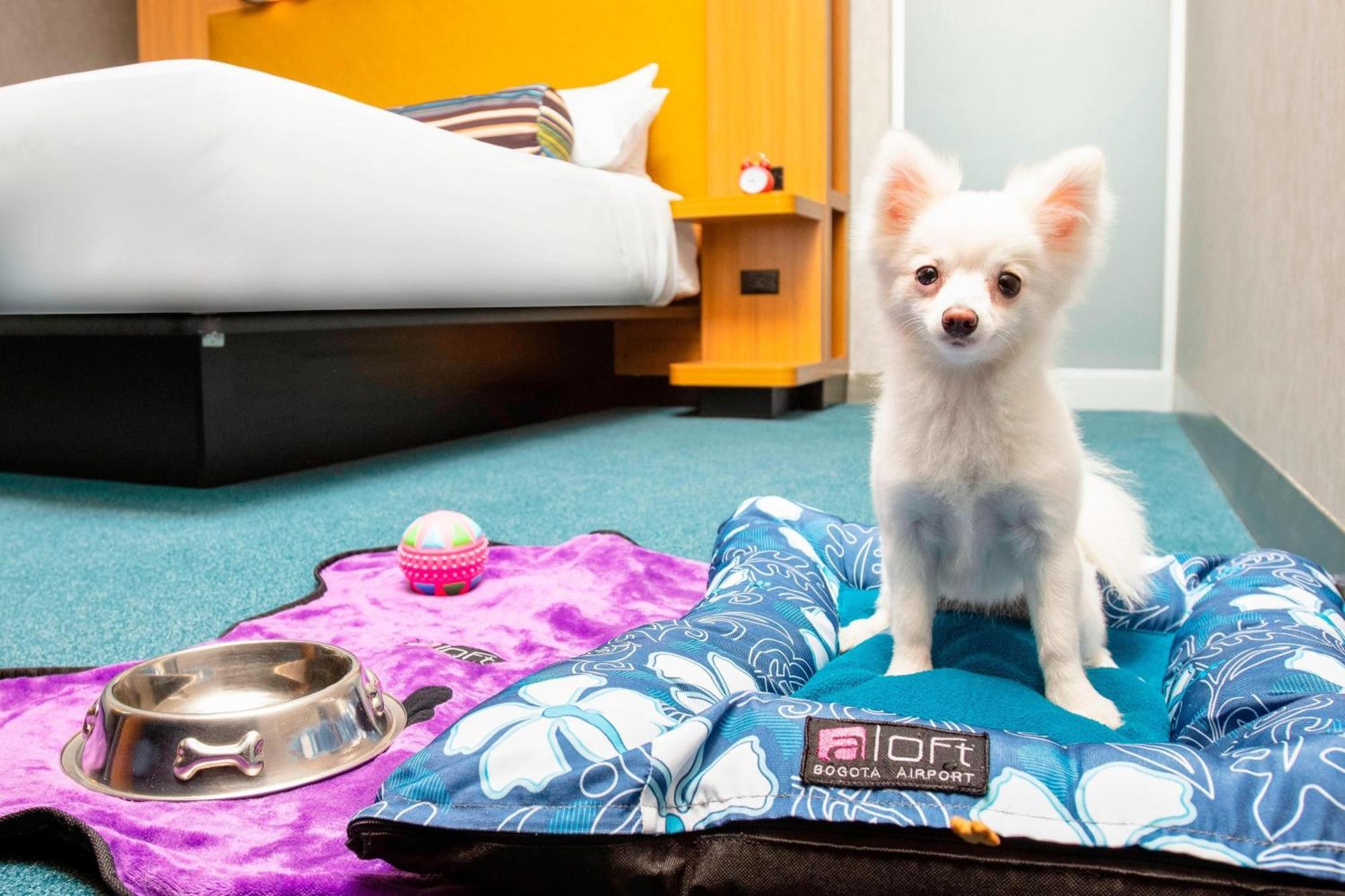 Aloft Airport Bogota