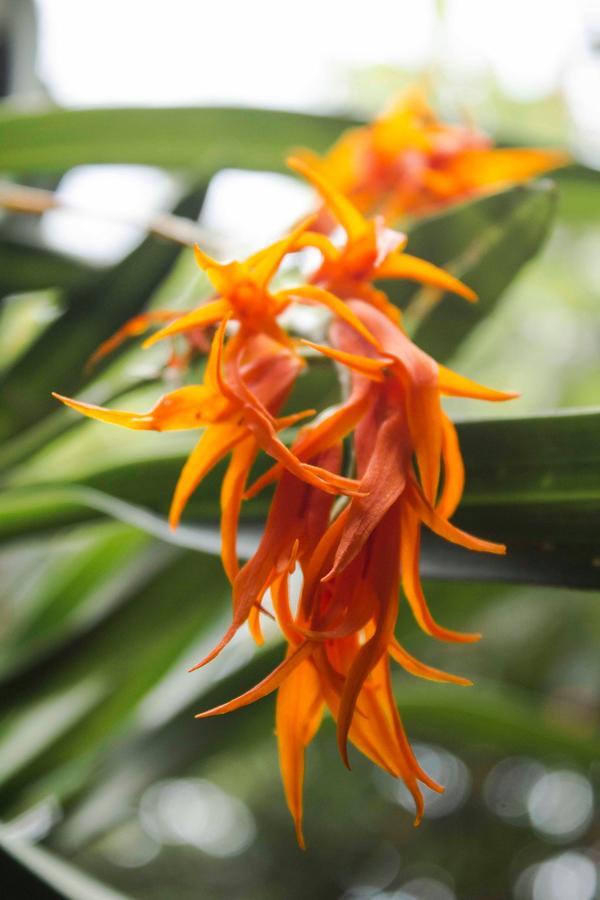 Albergue Botanico