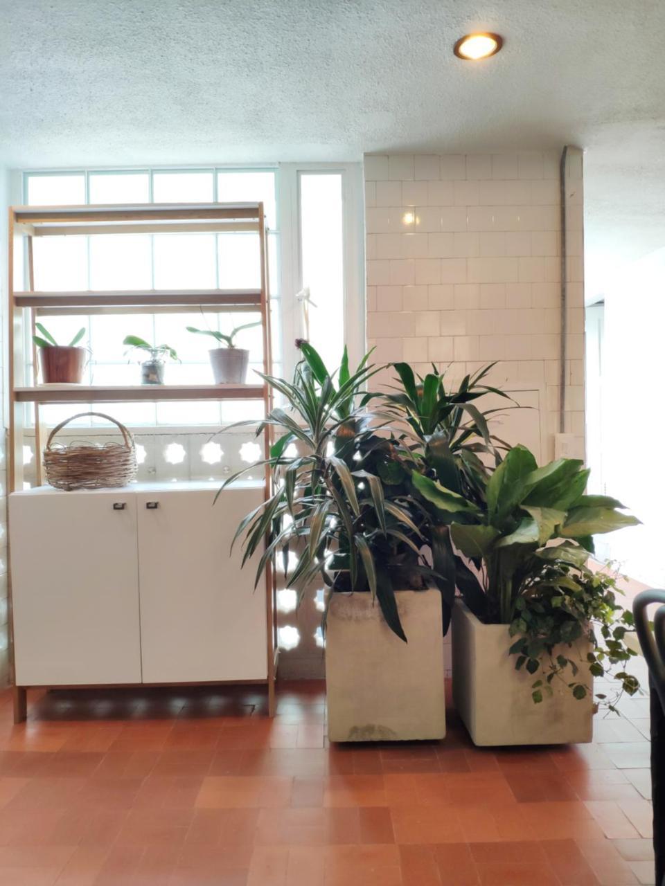 Bed & Breakfast The Milagro Bogota