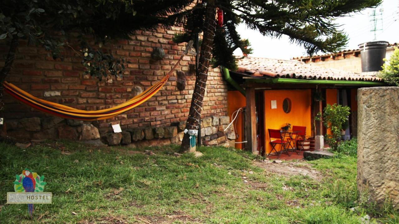 Albergue Vivo