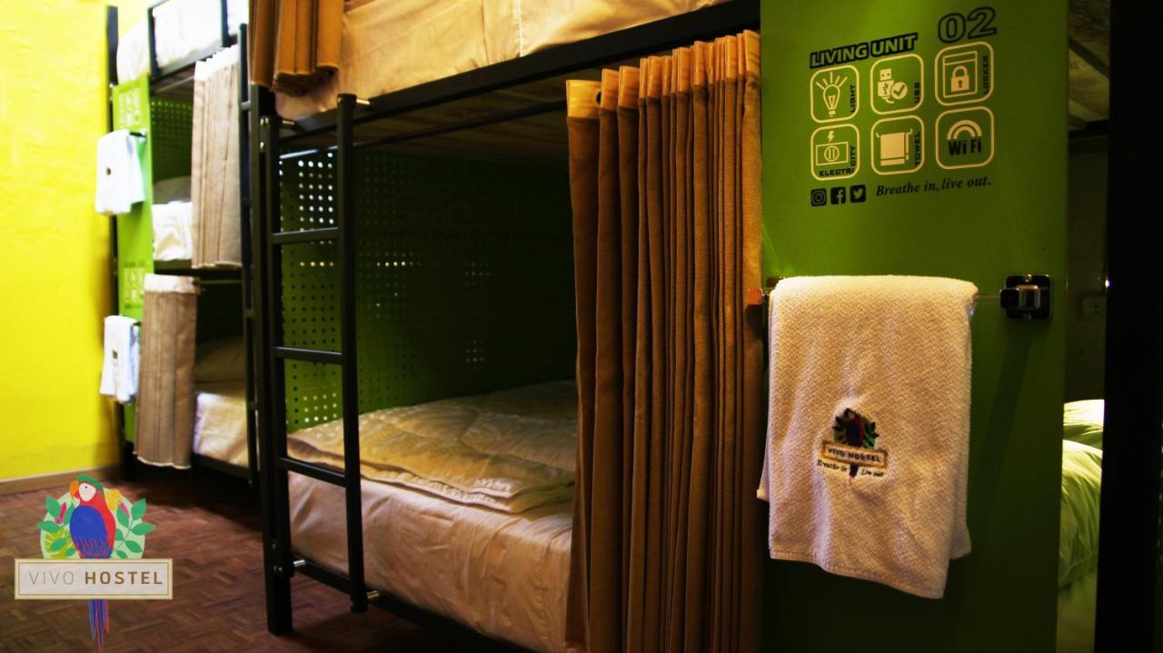 Vivo Albergue